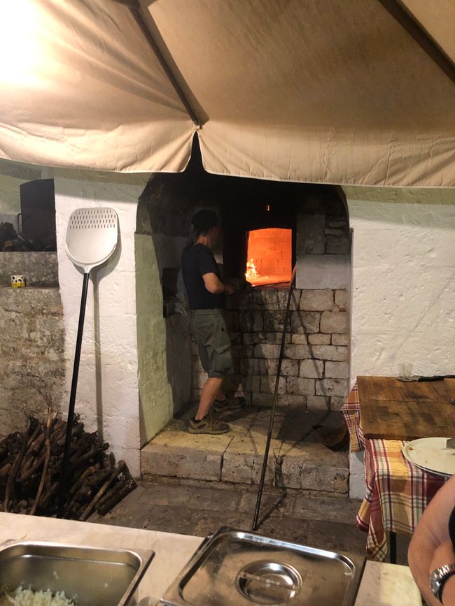 Domenico in seinem Element