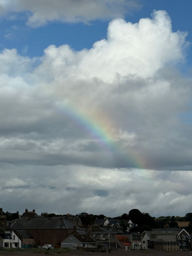 Tage in Montrose..