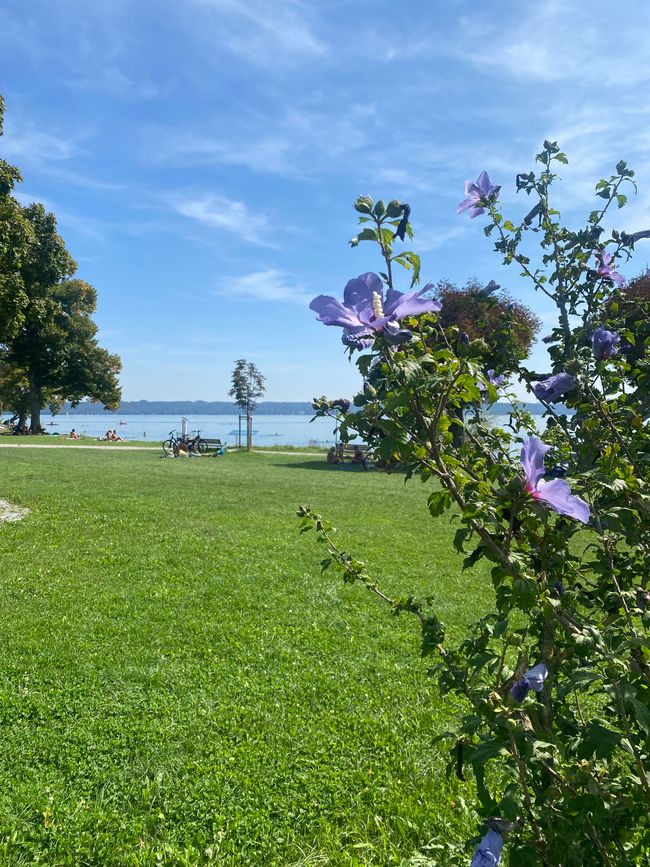 📍Starnberger See, Bavaria