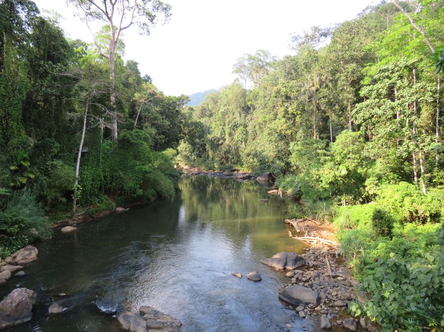 Sinharaja - l'ultima foresta pluviale dello Sri Lanka