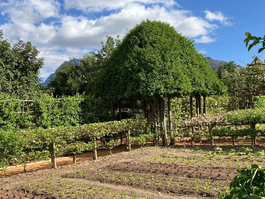 Frisch angelegte Beete