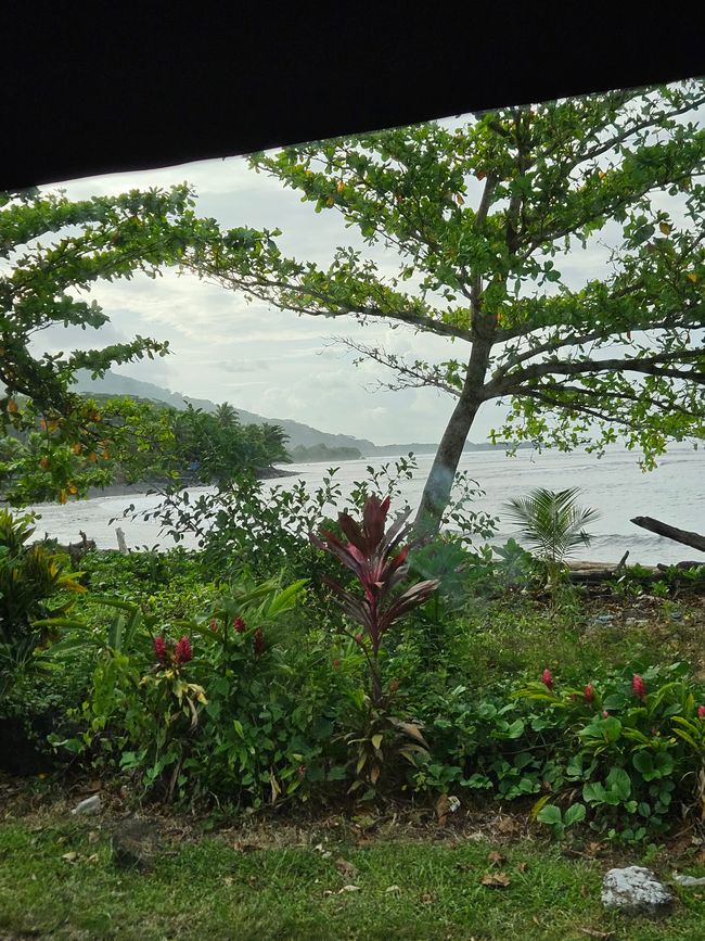 47. Tag Apia, Samoa 10.01.2026