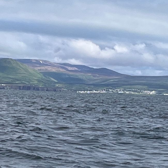 Whale Watching Husavik