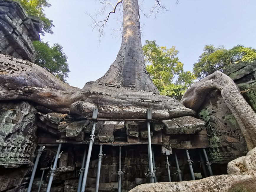 On Temple Tour in Siem Reap