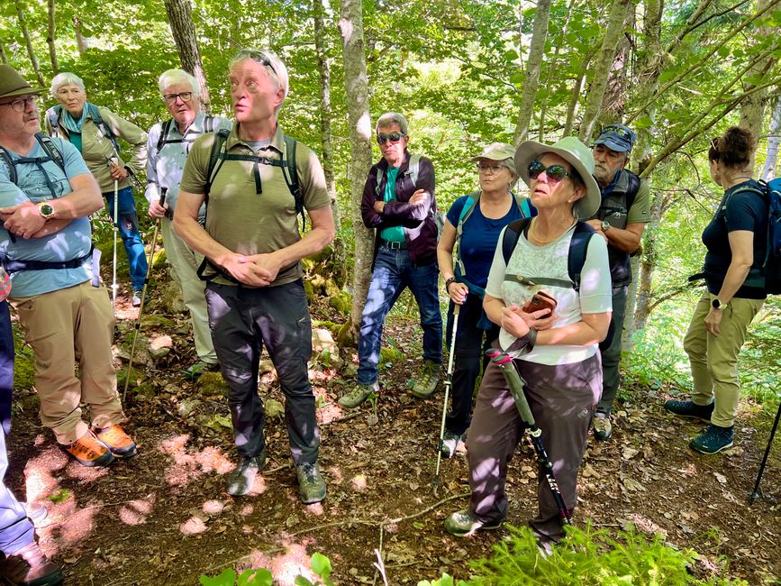 28 Wutachschlucht Pro Wolermoos