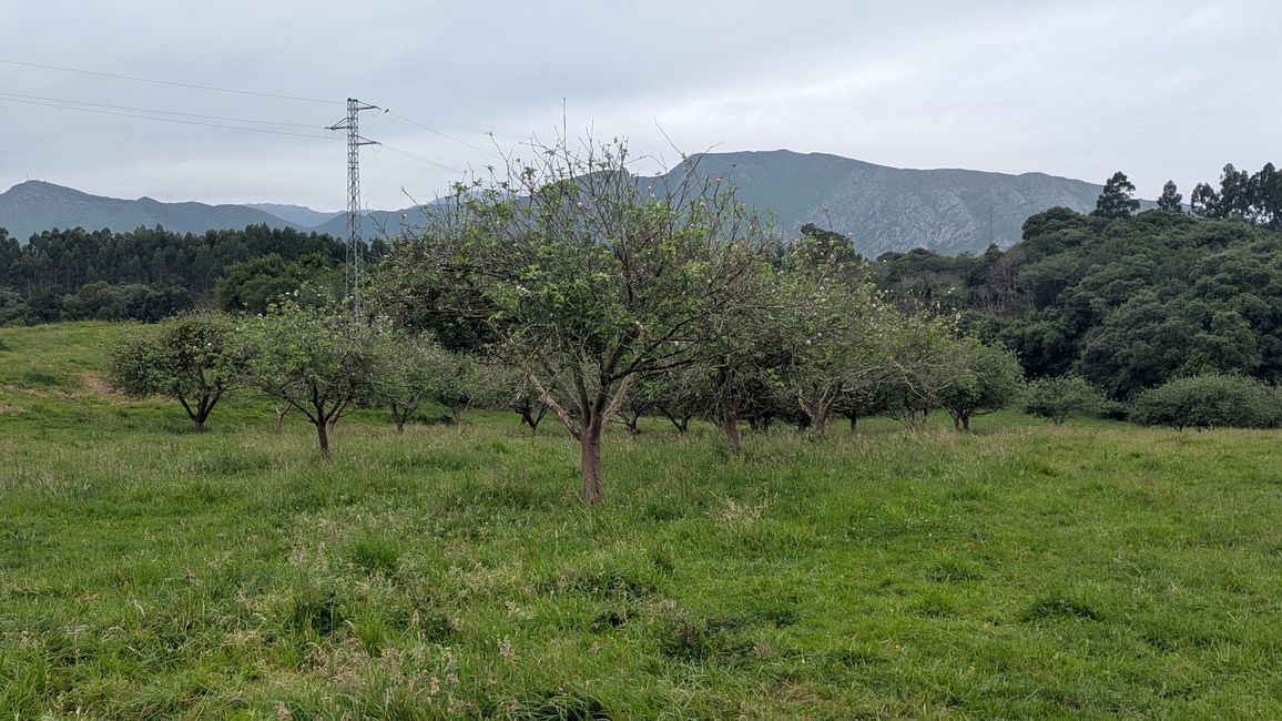13. Stage Camino del Norte from Barro to Camango