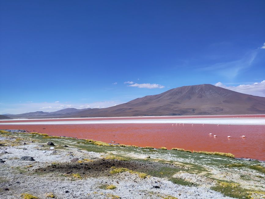 San Pedro und Co.: Wüste, Lagunen und ganz viel Salz 