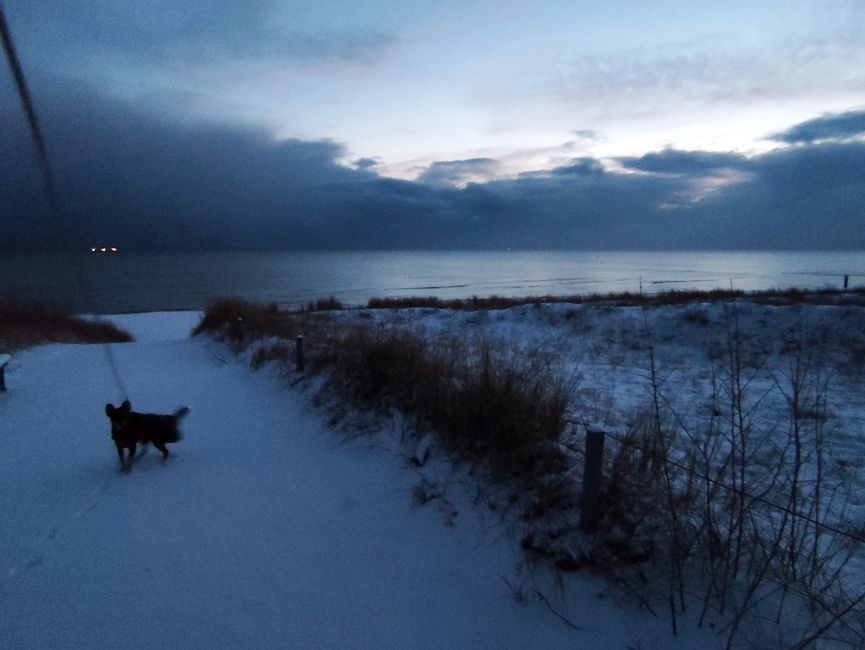 Gassi gehen früh morgens in Baabe       
auf Rügen