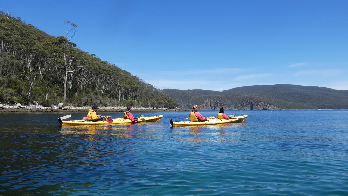 - Singapur & Tasmania 2019 -