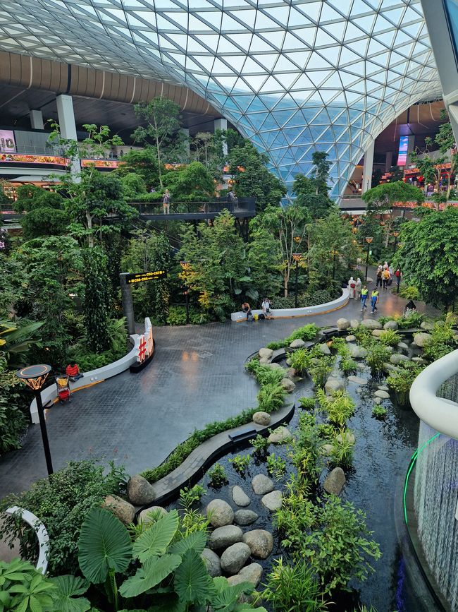 Garden at Doha Airport, Qatar