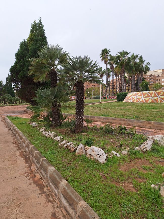 Park