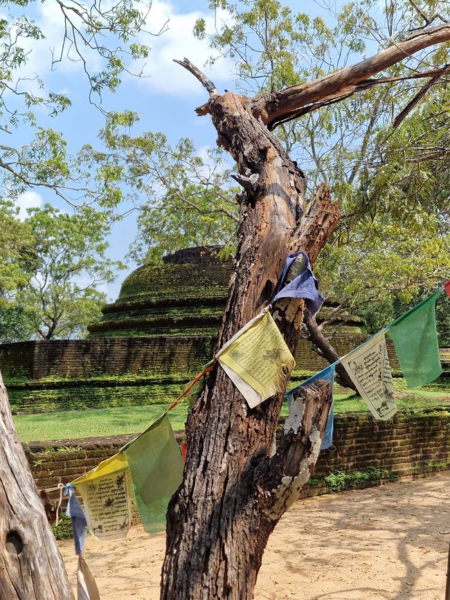 Polonnaruwa - 1000 años de historia y algo aprendido.