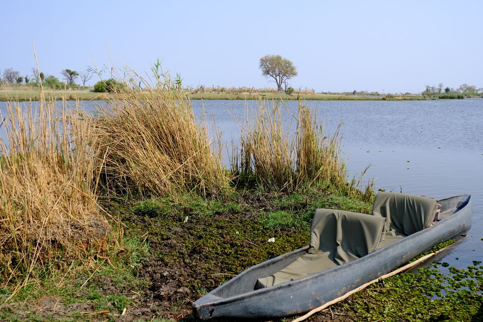 Delta del Okavango 🇧🇼