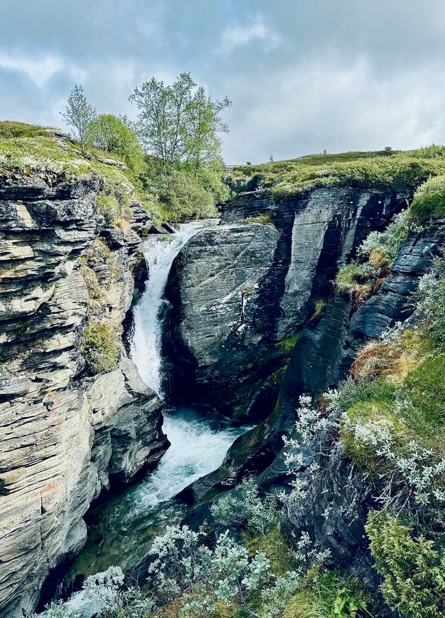 Promenade avec une brise légère - Impressions de Høvringen