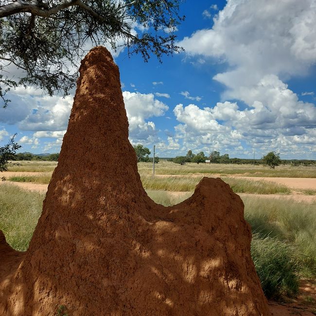 Der erste Tag in Namibia