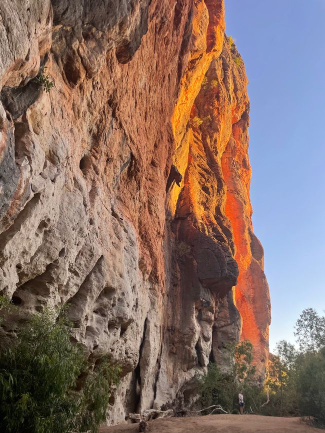 Entrance of Windjana Gorge at sunset 