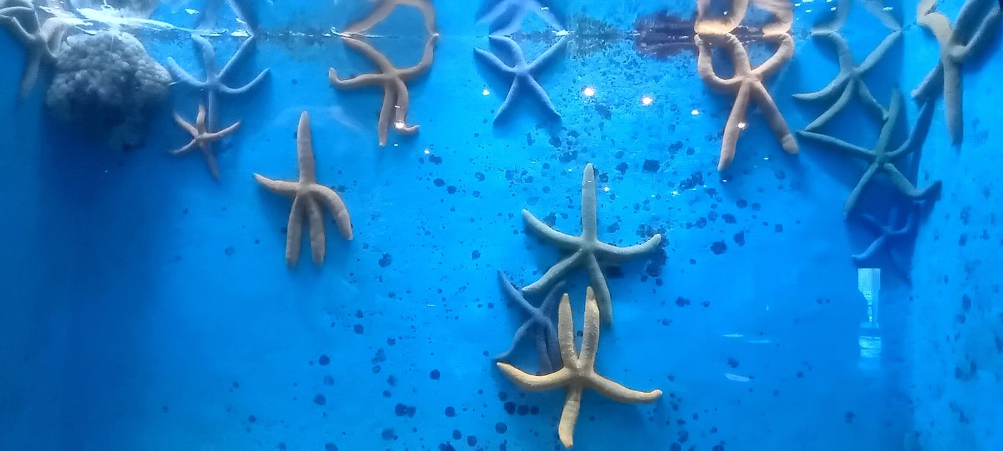 Checheng / Museo Nazionale di Biologia Marina & Museo