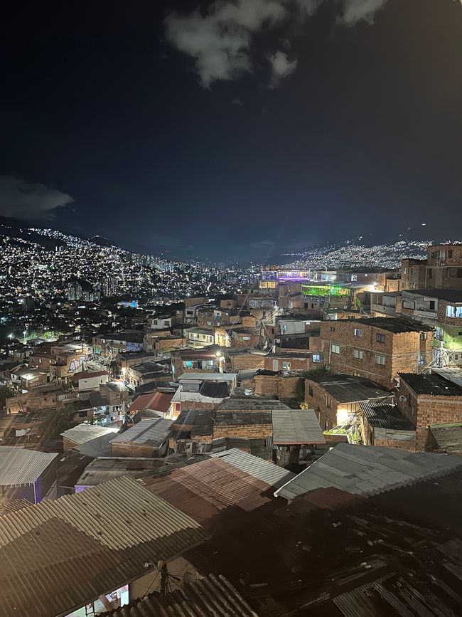 Medellín- die Stadt, in der alles erblüht?