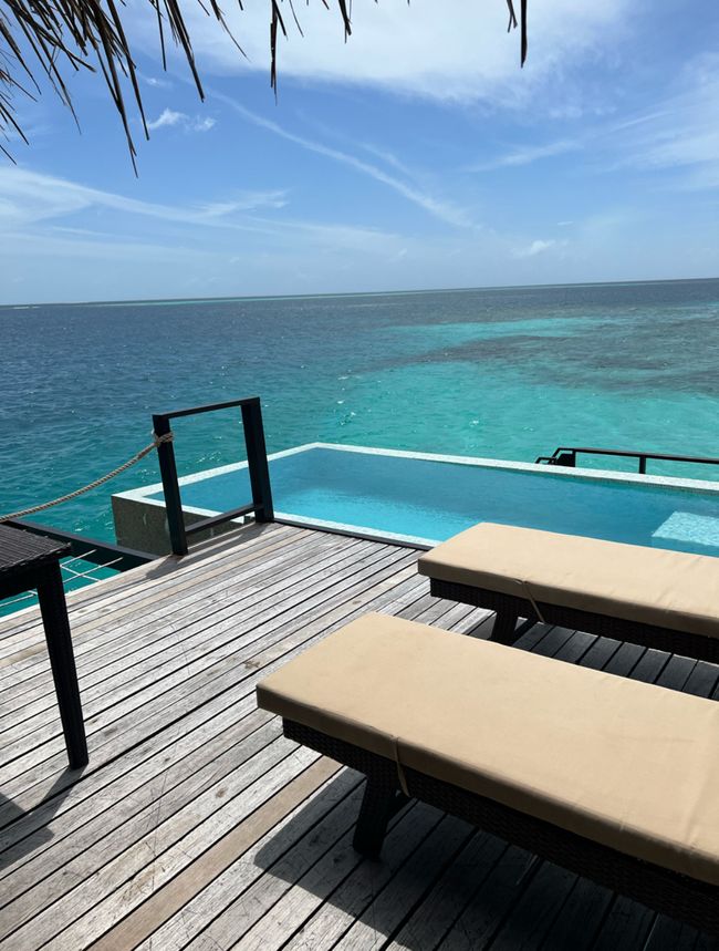 10 Días en Thundufushi - Un Viaje a Través de Aguas Azules, Jardines de Coral y Momentos de Quietud