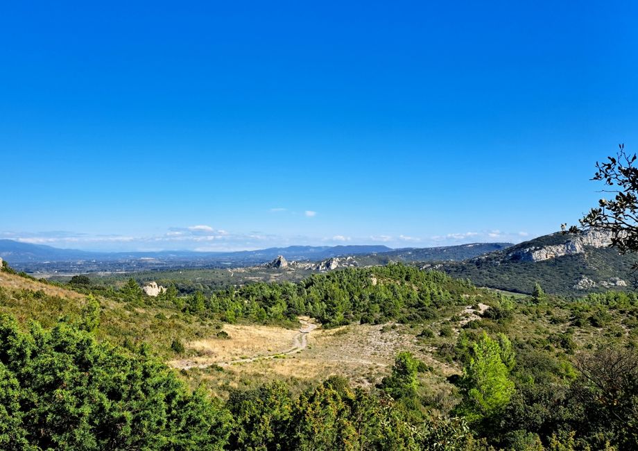 Los Aromas de las Alpilles