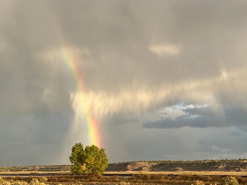 Arizona/ New Mexico/ Petrified Forest/ White Sands