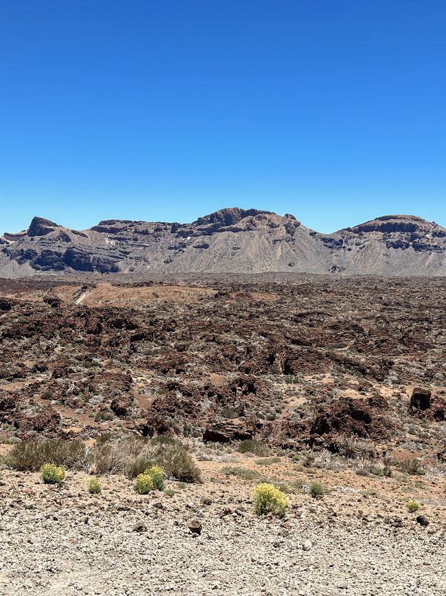 Alien landschaft II