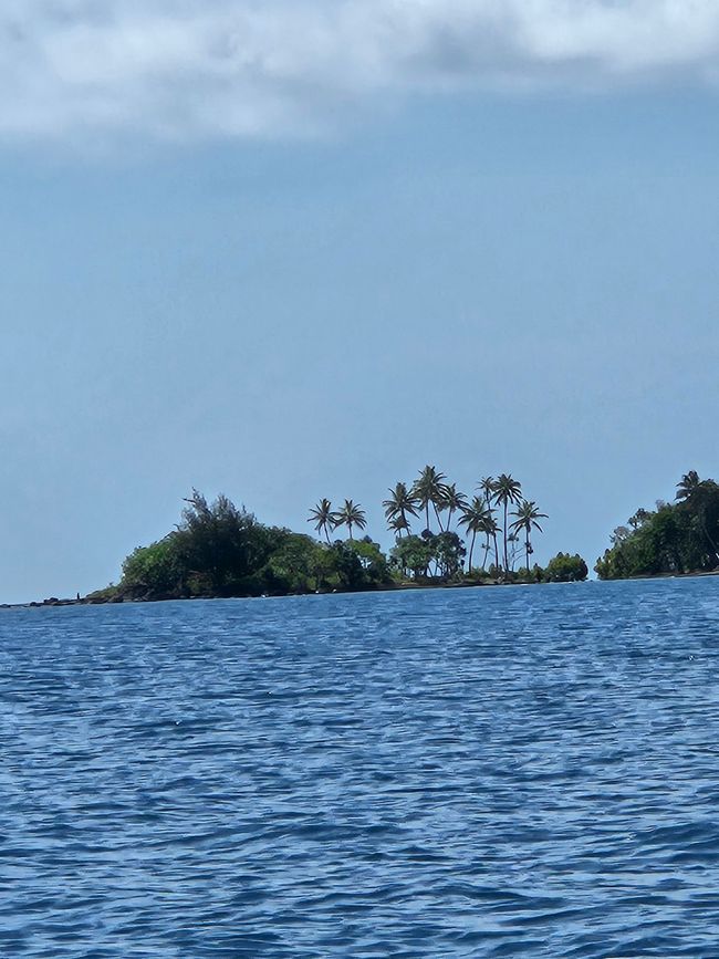 53. Etiqueta Isla Misteriosa, Vanuatu 16.01.2026