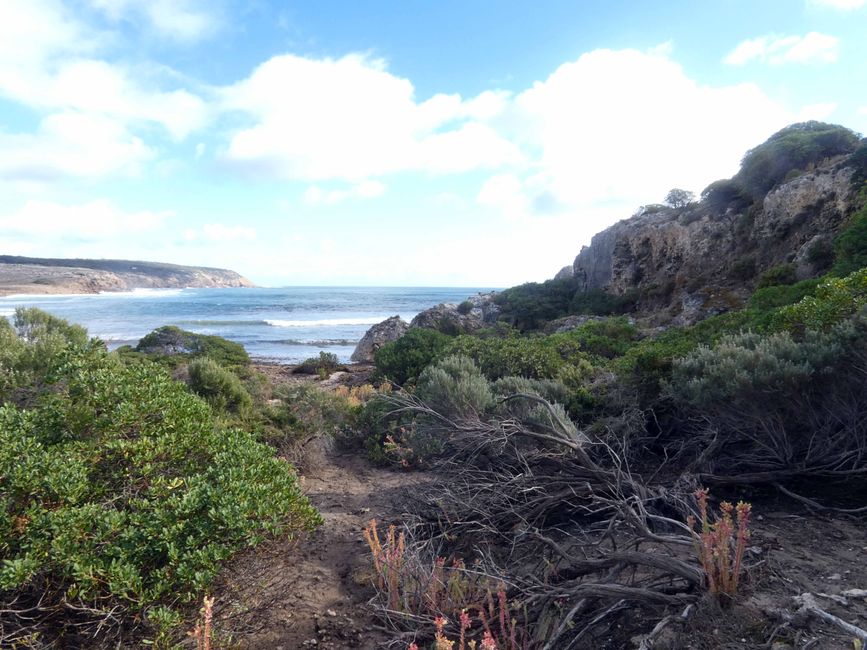 Emu Bay und Stokes Bay, Kangaroo Island