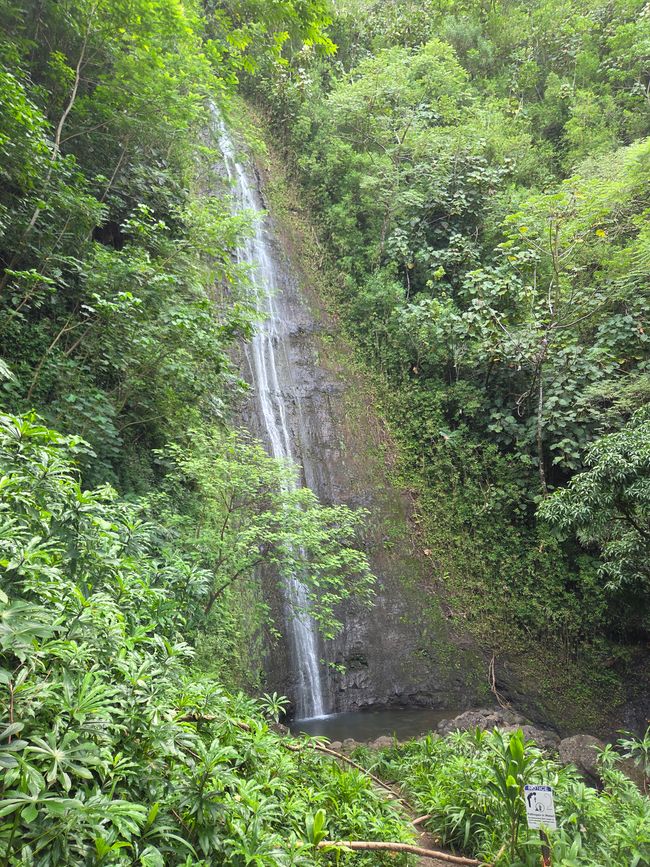 This is where Jurassic Park was filmed