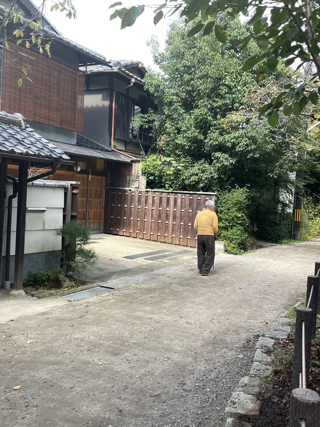 2.Kapitel: Nix Jetlag, oder „A temple a day keeps the doctor away“, man kann sich aber auch auf den Philosophenpfad begeben