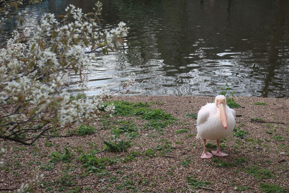 St. James Park