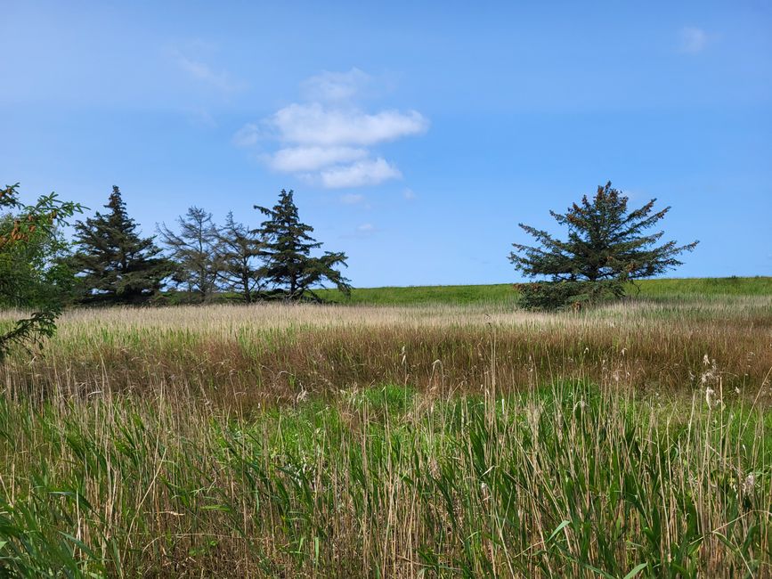 Naturschutzgebiet Wallnau