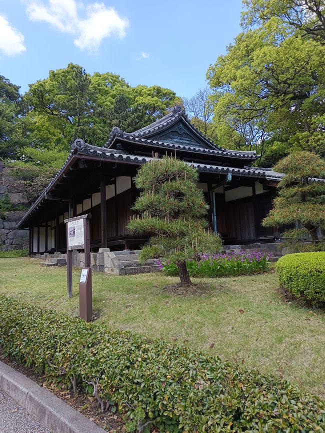 Tokyo auf eigene Faust