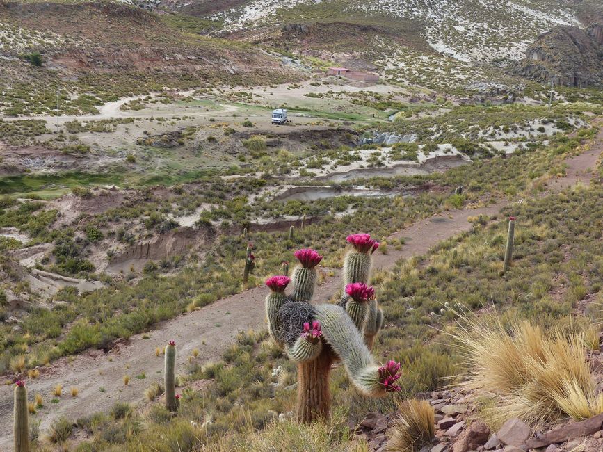 Bolivia, sorgenti termali a Tacoro