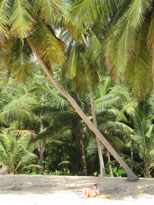 Tangalle - Folie de Plage