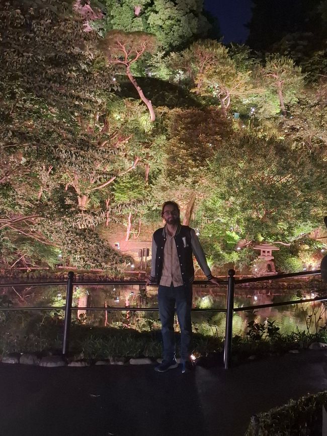 Beautiful Tokyo