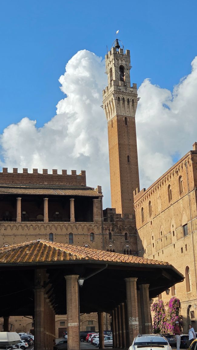 Torre del Mangia dal mercato