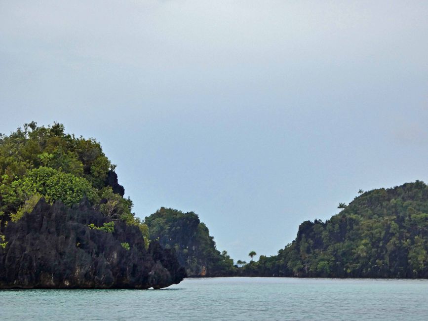 Misool, Nuova Guinea occidentale, Indonesia, escursione in Zodiac