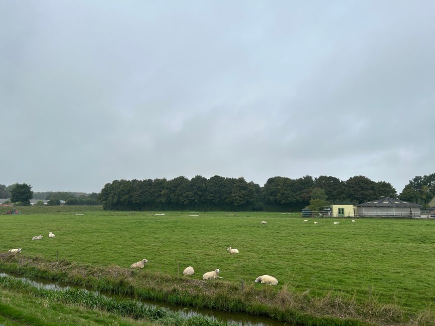 Tag 6: Schevingen - Middelburg Teil 2