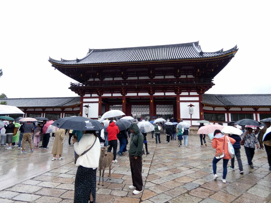 Kōbe and Nara, April 1, 2026
