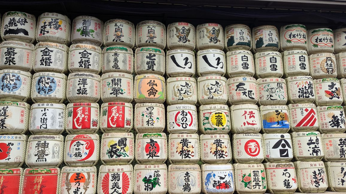 Sightseeing in Shibuya und Shinjuku