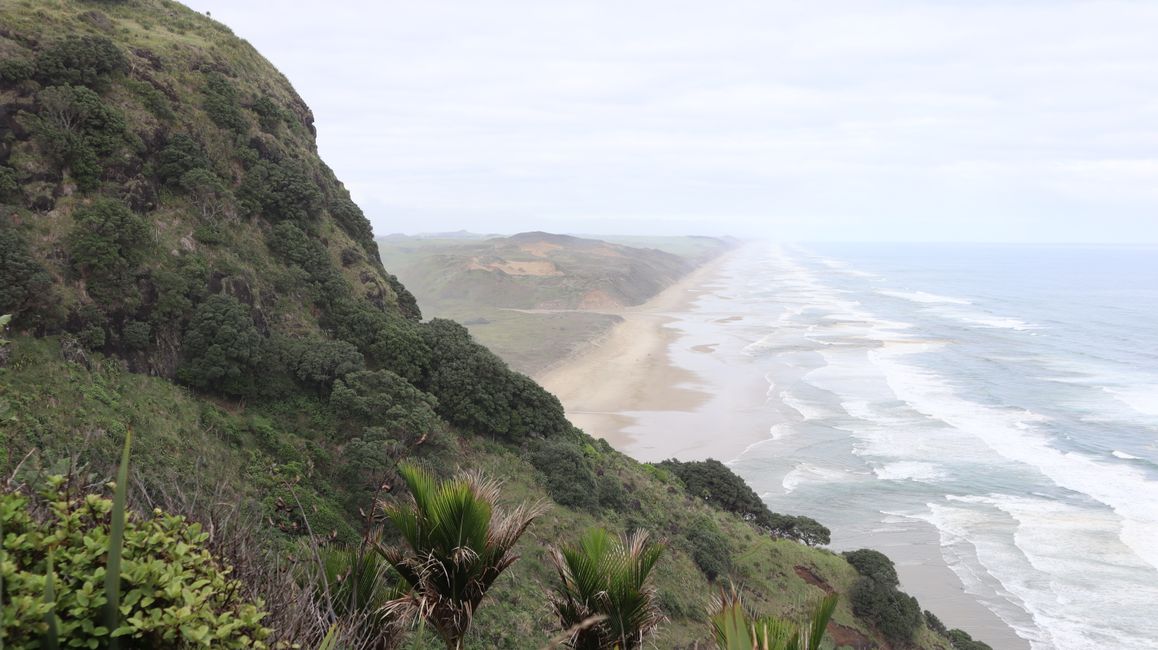 Maunganui Bluff Gipfel Track