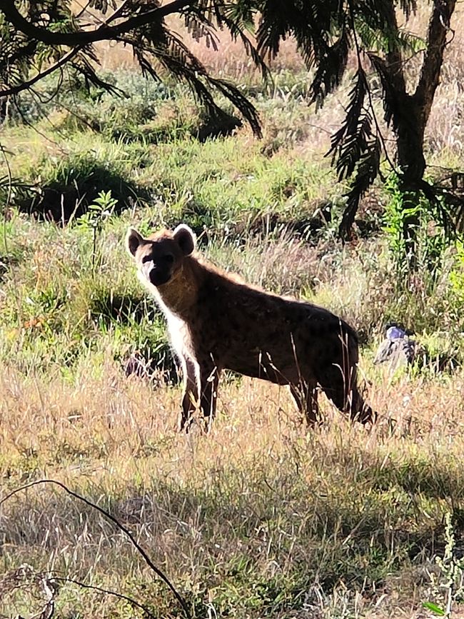 Último fin de semana en Addis