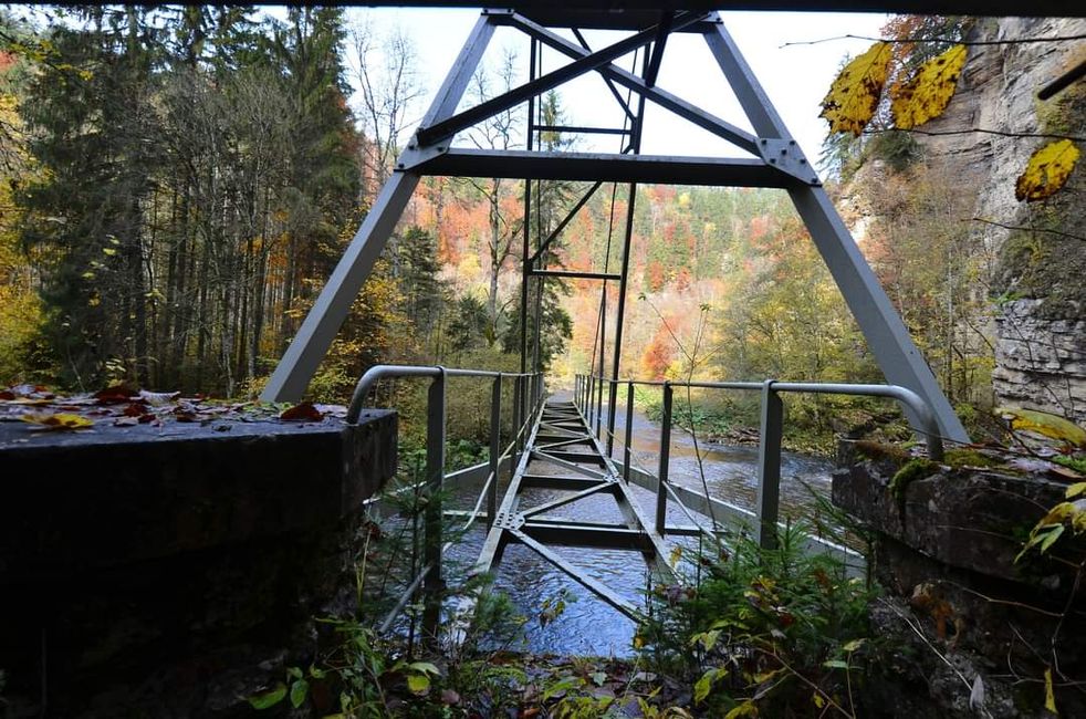 Autumn hiking in the Wutach Gorge: Red, yellow, orange... and you're right in the middle!