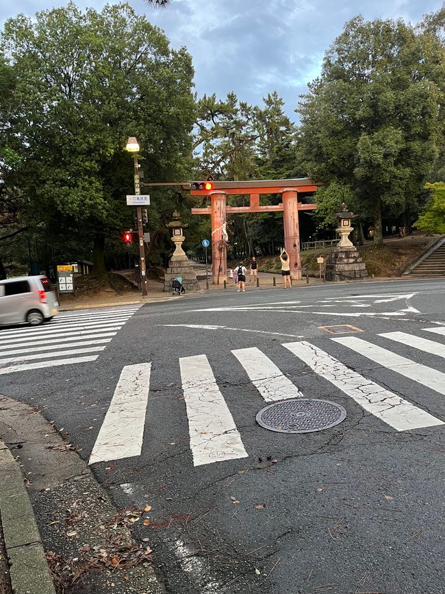 Nara & Nagoya