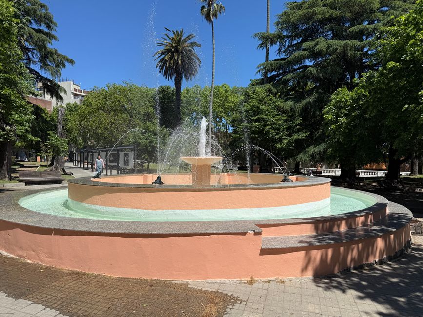 Etiqueta 12: Colón