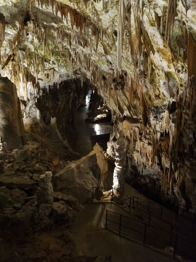 Höhlen von Postojna, 23.07.2024