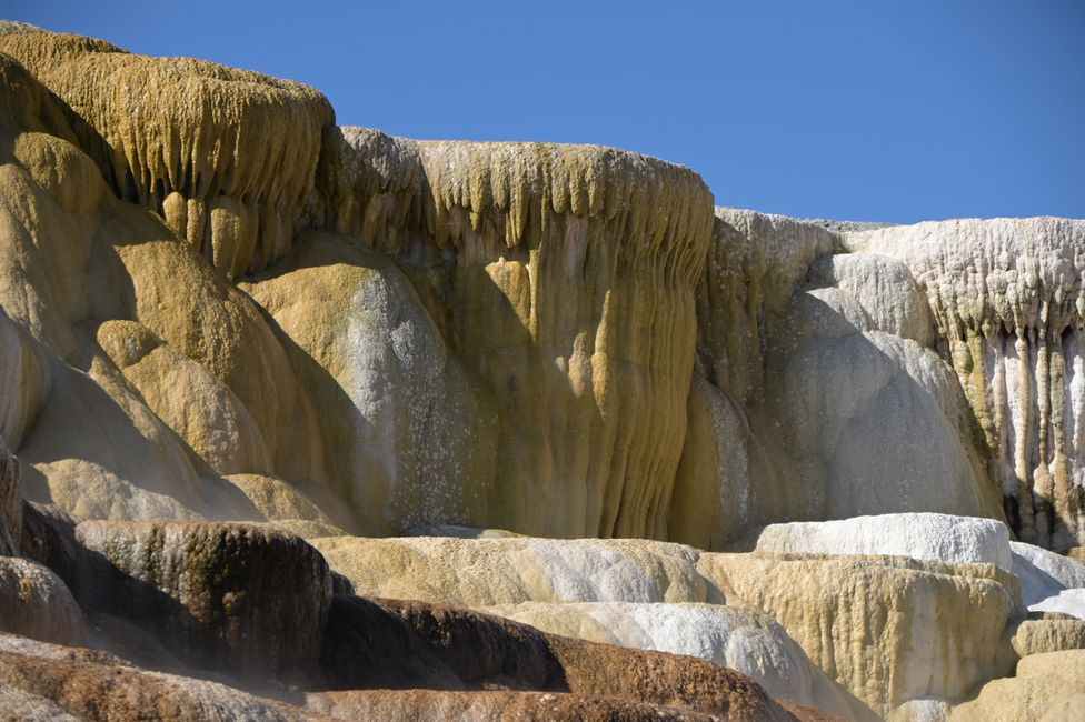 Mammoth Hot Springs - Sinterterrassen