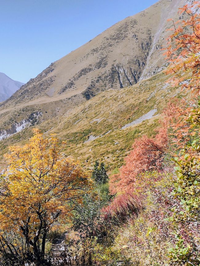 Wanderung im Ala-Artscha-Nationalpark
