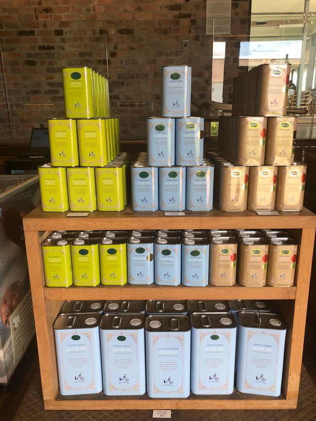 Die Olivenöle von Babylonstoren